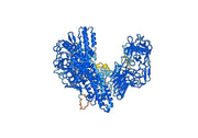 Anti-Clostridium botulinum botA/BOTOX VHH (SAA0935)