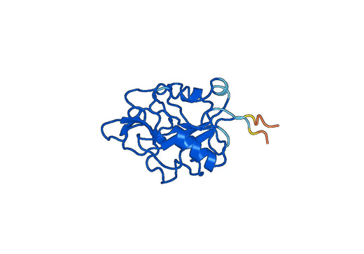 Anti-COL15A1 Polyclonal antibody
