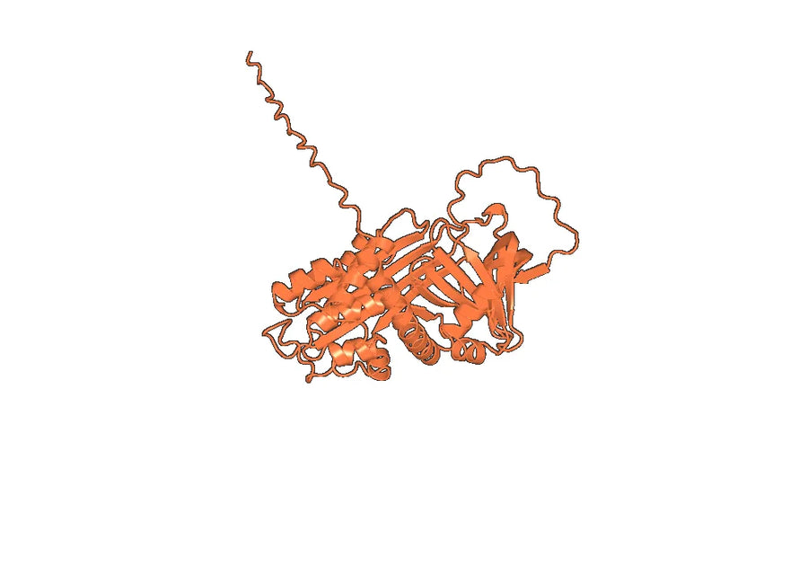 Anti-Cortisol Antibody (SAA1437)