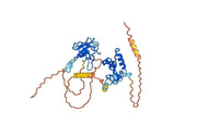 Anti-CoV-Nucleoprotein (D2) antibody