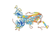 Anti-CoV-RBD (A2) antibody