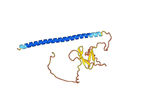 Anti-CREB1 Polyclonal antibody