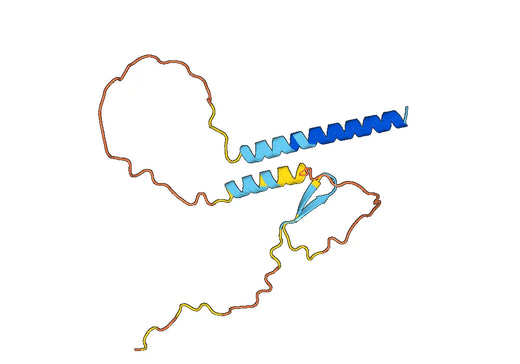 Anti-CRH Polyclonal antibody