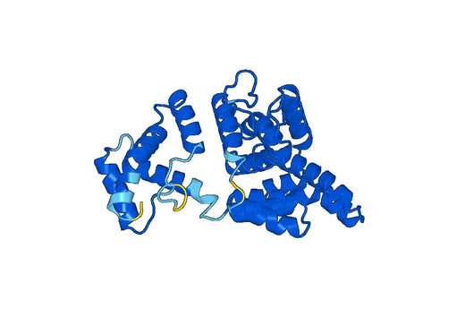 Anti-CS Polyclonal antibody