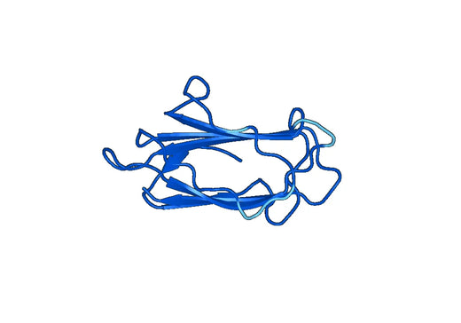 Anti-CUBN Polyclonal antibody
