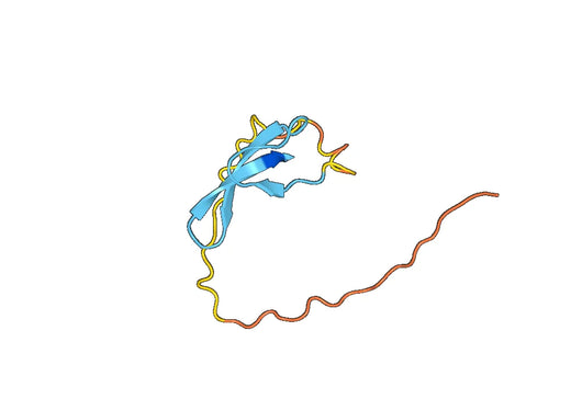 Anti-DEFA3 Polyclonal antibody