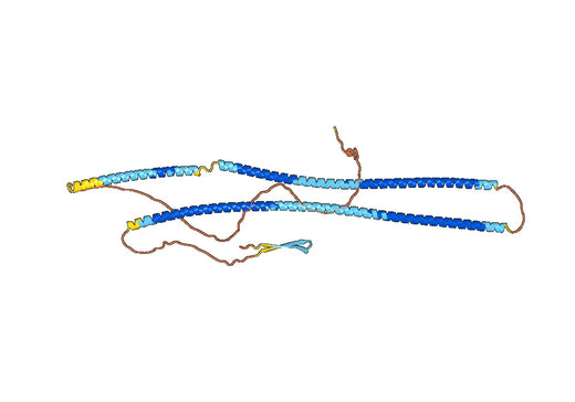 Anti-DES/Desmin Polyclonal antibody