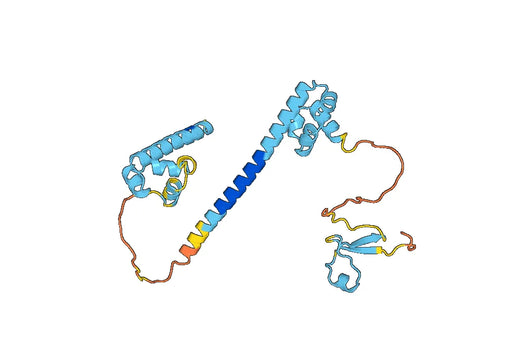 Anti-DFFA Polyclonal antibody