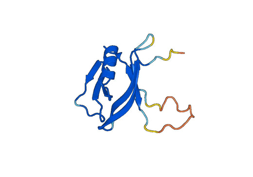 Anti-DOK3 Polyclonal antibody
