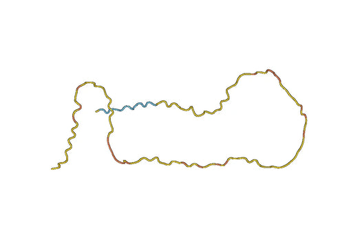 Anti-DSPP Polyclonal antibody