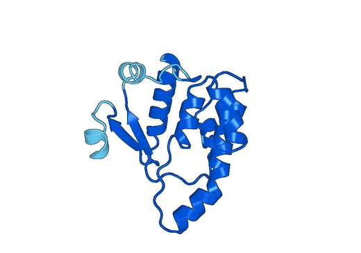 Anti-DTYMK Polyclonal antibody