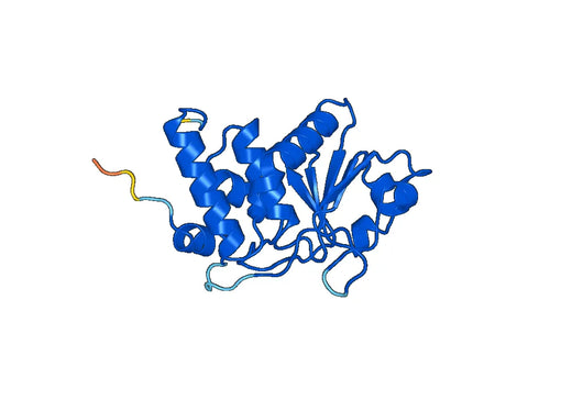 Anti-DUSP3 Polyclonal antibody