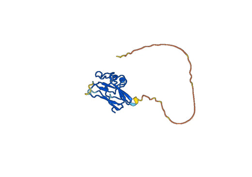 Anti-EFNB2 Polyclonal antibody