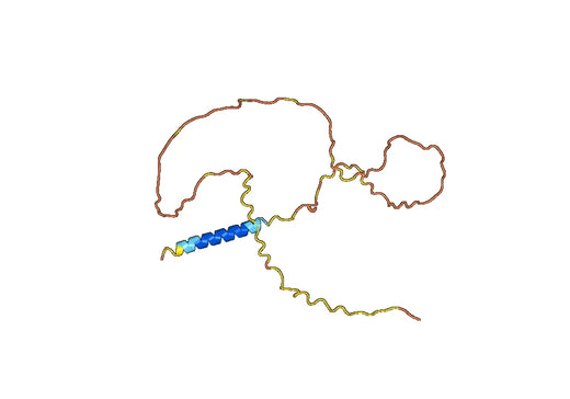 Anti-EMD Polyclonal antibody