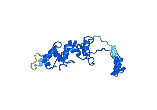 Anti-ERCC5 Polyclonal antibody