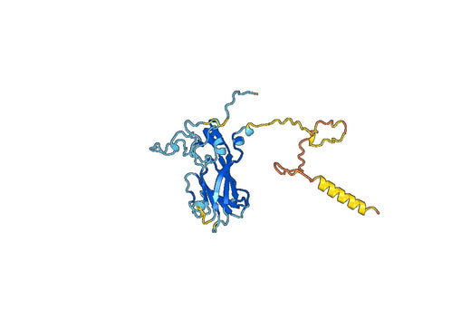 Anti-EV71 VP1/Capsid protein VP1 Polyclonal Antibody