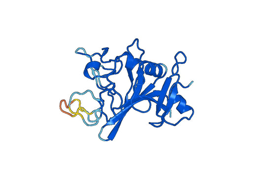 Anti-FGL2 Polyclonal antibody