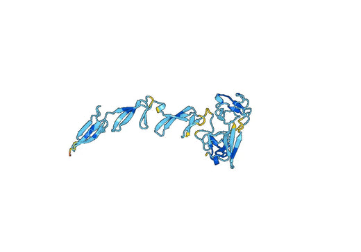 Anti-FN1 Polyclonal antibody