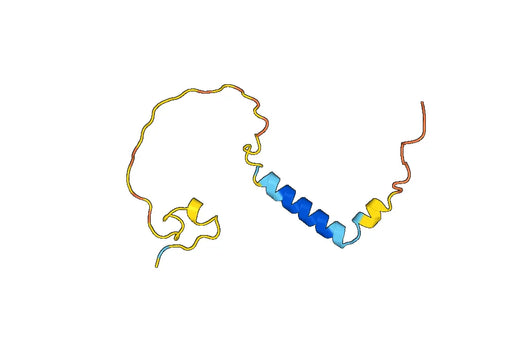 Anti-GAL Polyclonal antibody