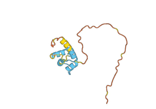 Anti-GCA Polyclonal antibody