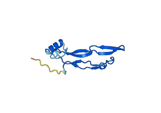 Anti-GDF3 Polyclonal antibody