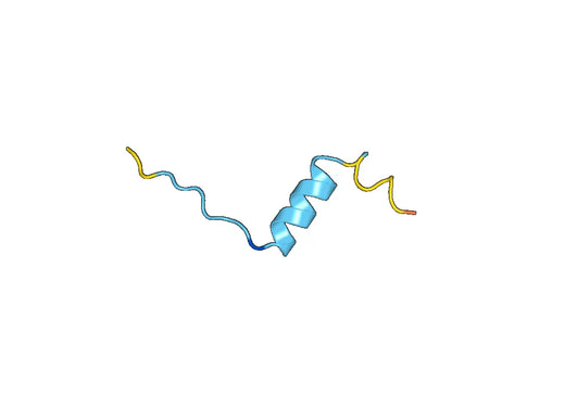 Anti-GDNF Polyclonal antibody