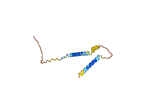 Anti-GIP Polyclonal antibody