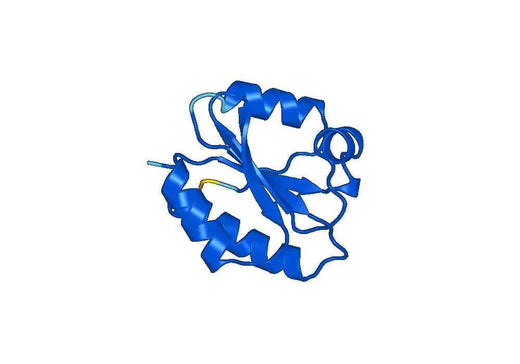 Anti-GLRX3 Polyclonal antibody