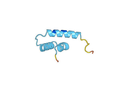 Anti-GLUT4/SLC2A4 Polyclonal antibody