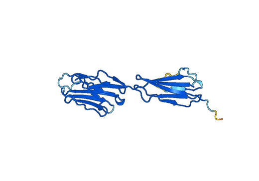 Anti-GPA33 Polyclonal antibody