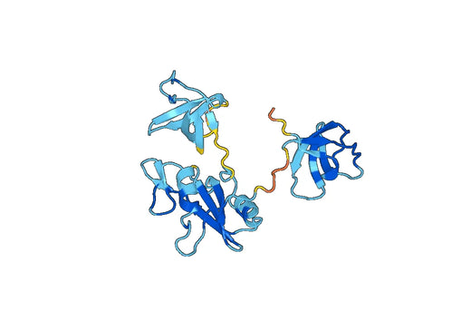 Anti-GRB2 Polyclonal antibody