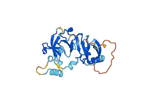 Anti-GRB7 Polyclonal antibody