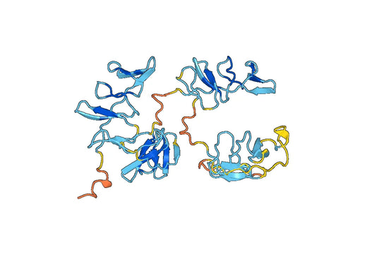 Anti-GRN Polyclonal antibody