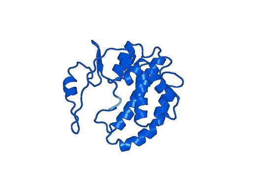 Anti-GSTM4 Polyclonal antibody