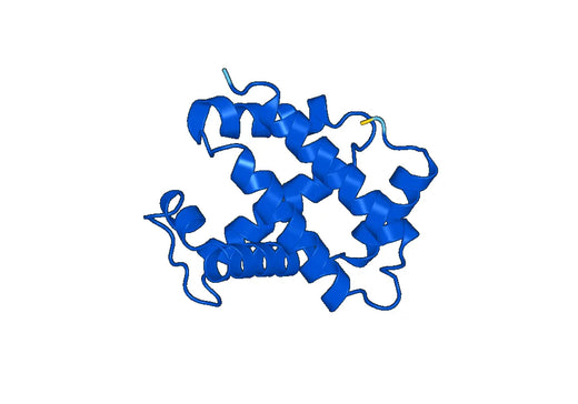 Anti-HBA1 Polyclonal antibody