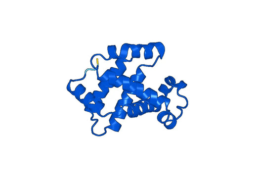 Anti-HBD Polyclonal antibody