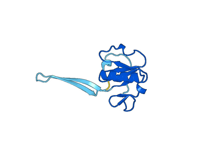 Anti-HCV NS1/gp68/gp70/Envelope glycoprotein E2 Antibody (3/11#)