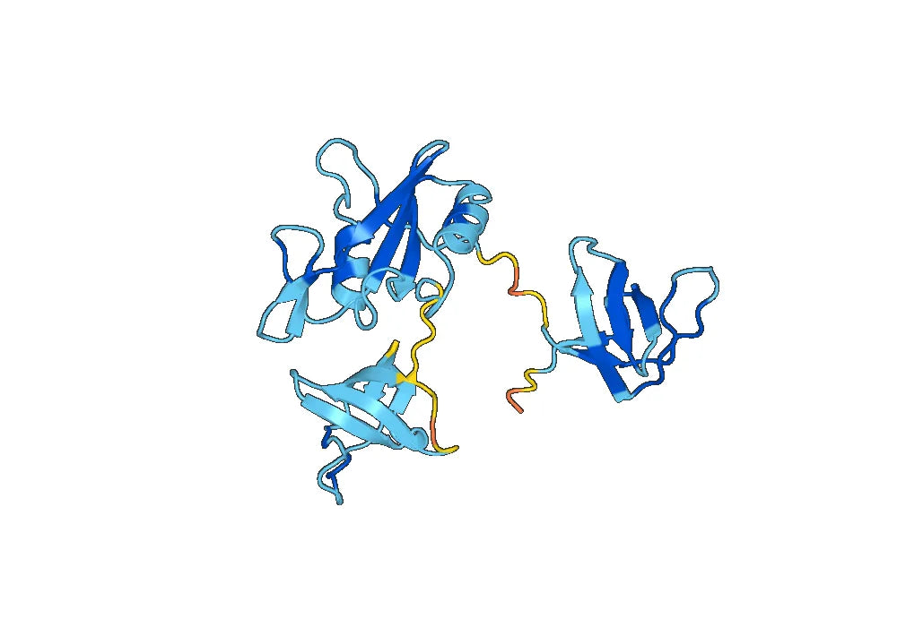 Anti-HCV NS1/gp68/gp70/Envelope glycoprotein E2 Antibody (A12)