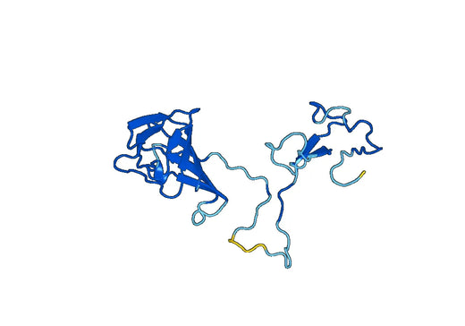 Anti-HGD Polyclonal antibody