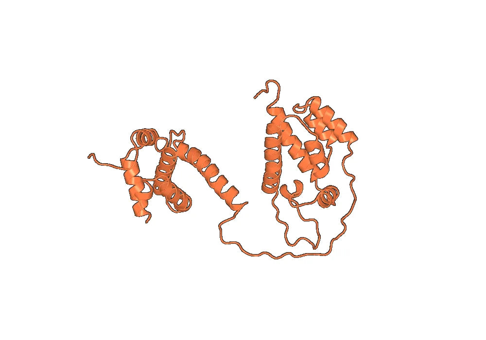 Anti-HIV1 Gag polyprotein VHH (SAA0890)