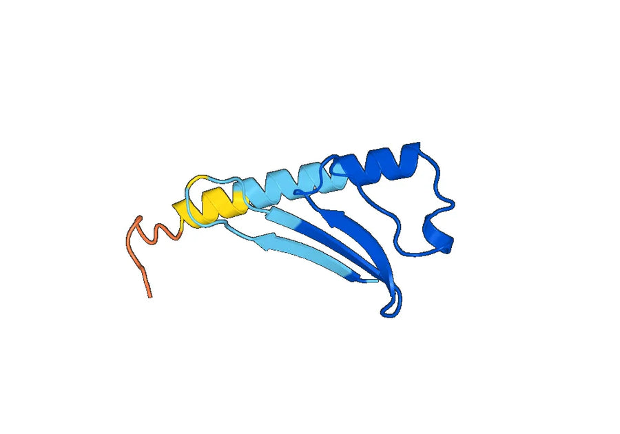 Anti-HLA-G Polyclonal antibody