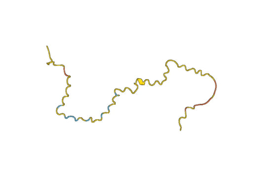 Anti-HMGA2 Polyclonal antibody
