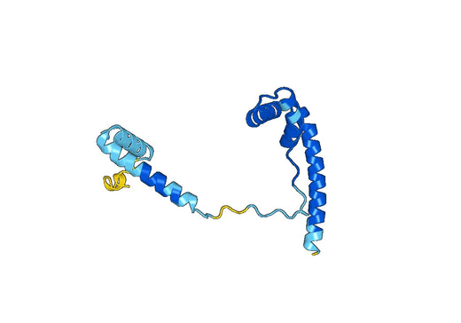 Anti-HMGB4 Polyclonal antibody