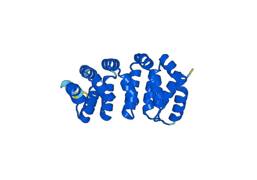 Anti-HSPBP1 Polyclonal antibody