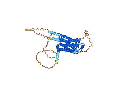 Anti-Human ADRB1 Antibody (6B9)