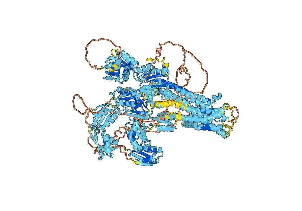 Anti-Human ATP7B VHH (SAA1241)
