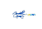 Anti-Human B2M/Beta-2-microglobulin VHH (SAA1047)