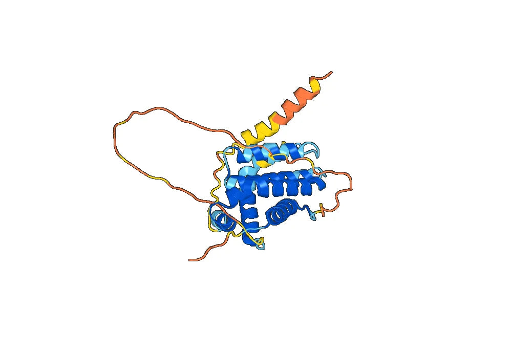 Anti-Human BCL2 VHH (SAA1206)