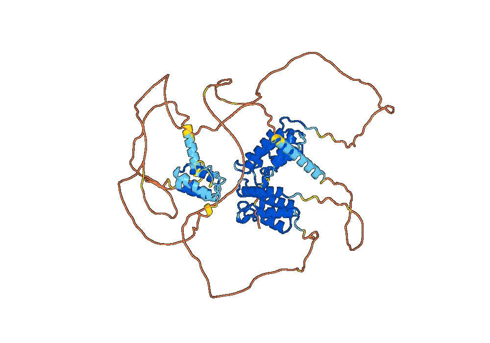 Anti-Human BRD3 IP Antibody (SAA0191)