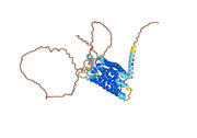 Anti-Human C3AR1 Antibody (SAA0776)